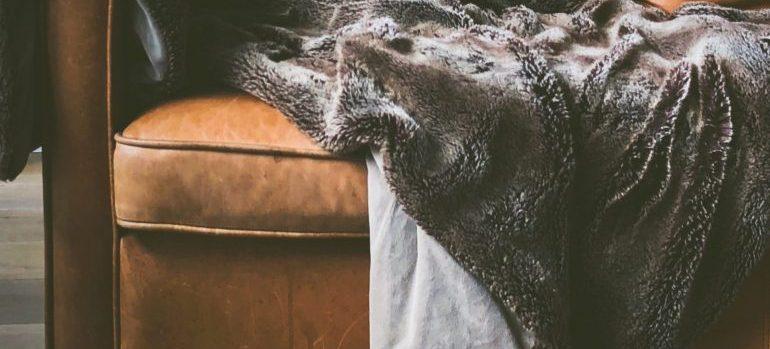 Leather couch and pelt