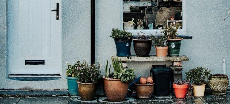 un número de macetas con plantas sentado debajo de una ventana y al lado de una puerta (fuera)