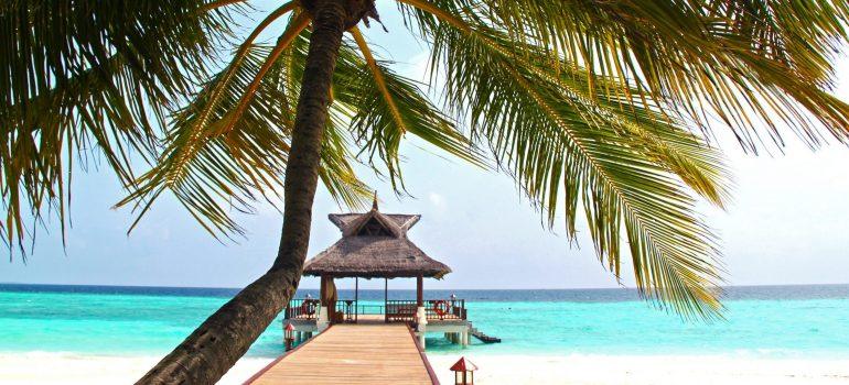 A big palm, white sand beach, ocean waters, wooden pier and all this you can have when choosing the best Florida city for your needs.