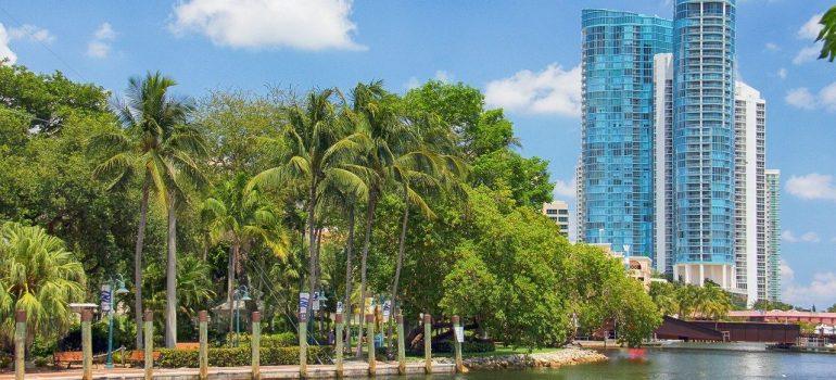 Palms, water, and tall buildings in the far-right corner, maybe a best Florida city for job opportunities for you. 