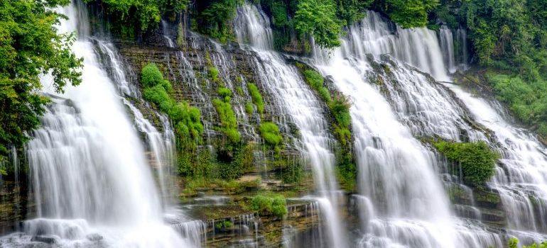 La naturaleza en Tennessee