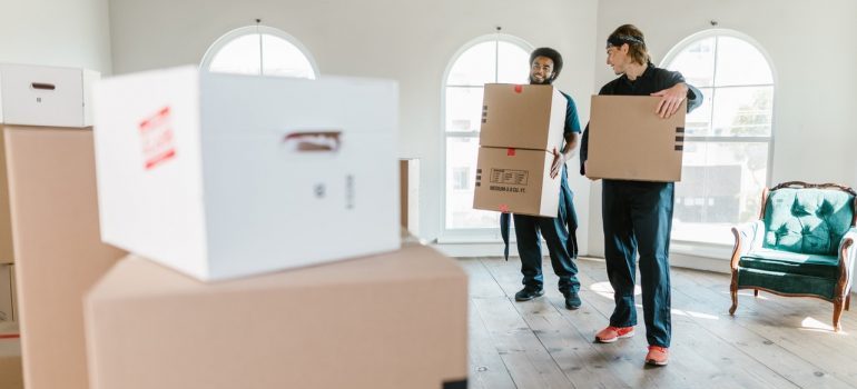 Two movers holding cardboard boxes.