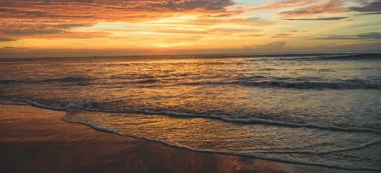 one of the things you will love about Virginia is beach