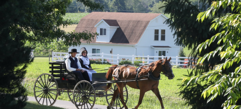 Personas de Amish 