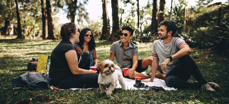 friends having a picnic in a park with a dog