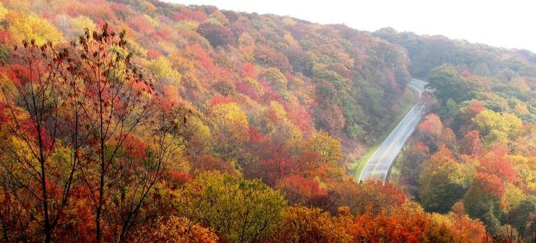 la hermosa naturaleza en carolina del norte