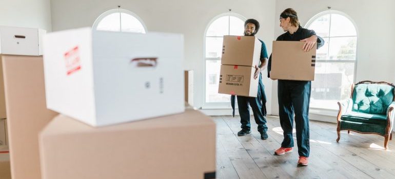 Movers holding boxes