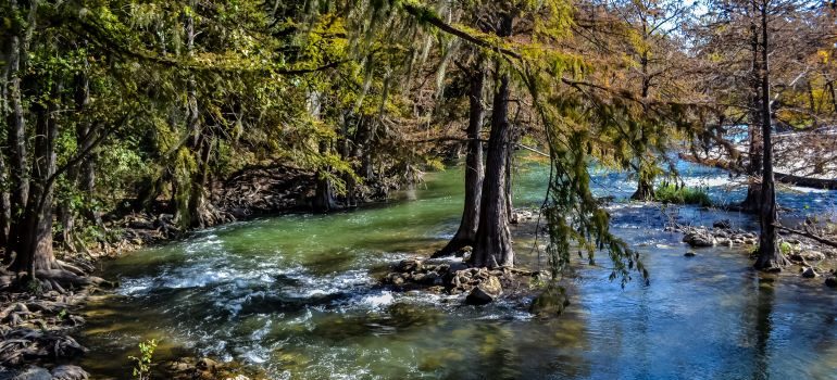 un río en el bosque 