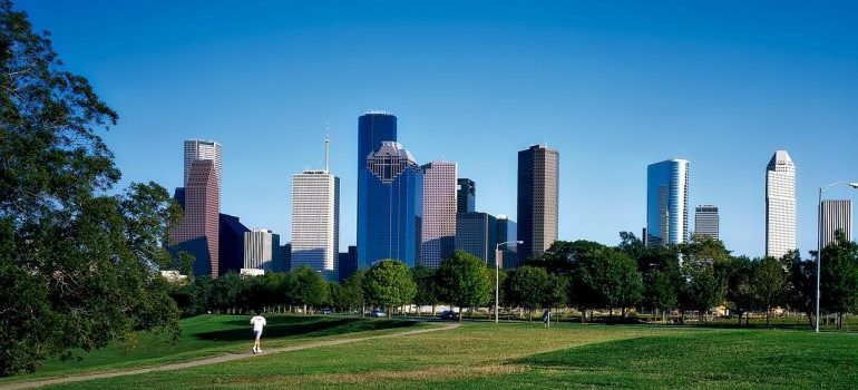 buildings next to the park