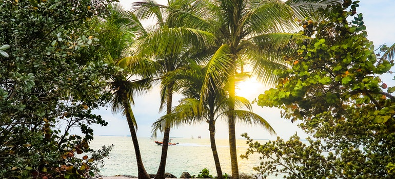 Caladesi Island es una de las joyas ocultas de la Florida para explorar