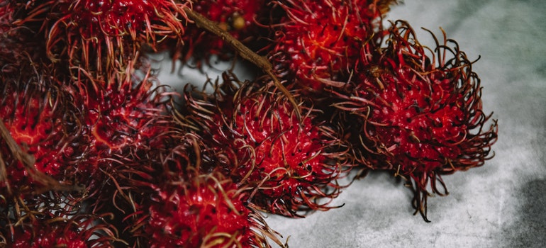 Frutos de rambután