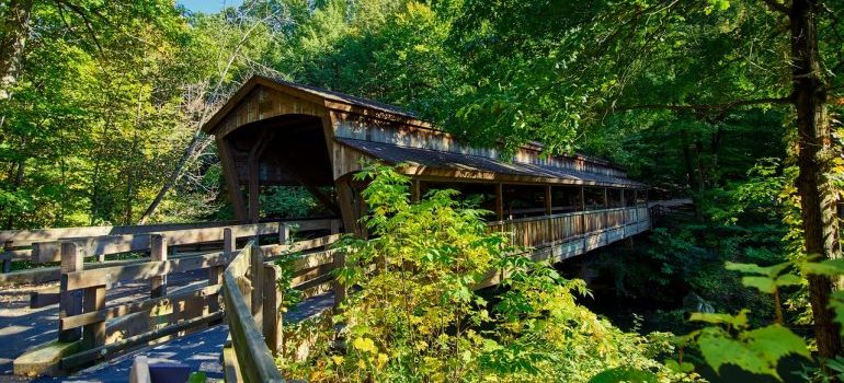 Ohio boardwalk bridge in the forest