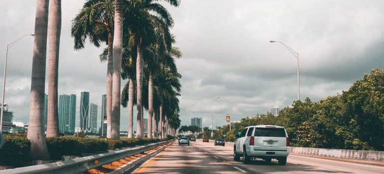 usted se enterará bien desarrollada red de carreteras en Orlando, Florida, si usted lee nuestra Orlando guía para los recién llegados