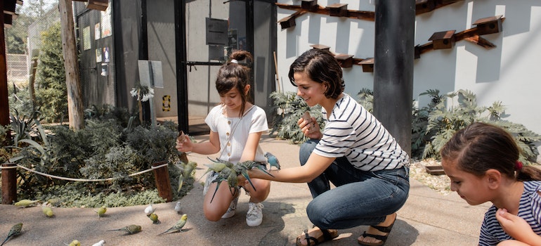 La madre y sus Hijas, la Alimentación de las Aves. 