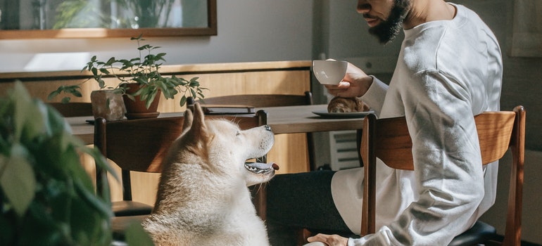 A man and a dog in a cafe