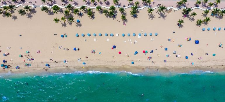 a beach in Florida