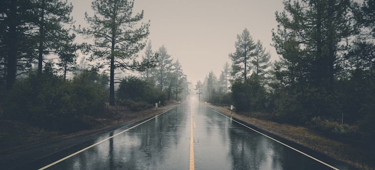 A rainy road between trees