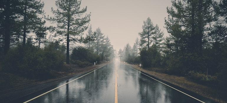 Una lluvia de camino entre los árboles