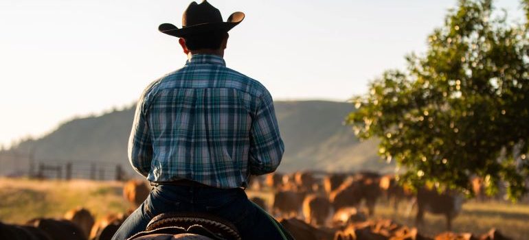 el vaquero es el estilo de vida entre las cosas que usted pierda acerca de Texas, después de mudarse 