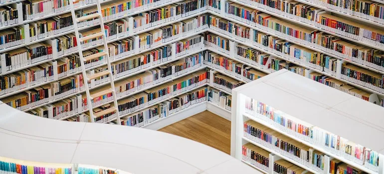 los libros en los estantes