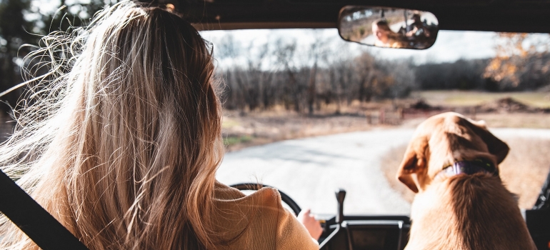 Una mujer de pensamiento acerca de los rasgos de Texas en el estilo de vida durante la conducción