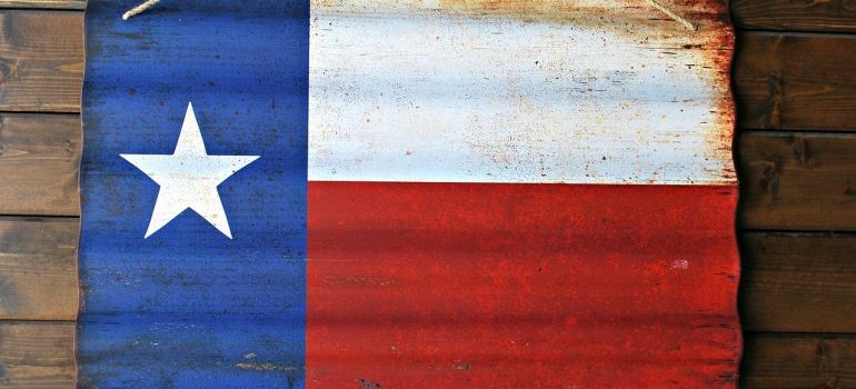 Bandera de Texas 