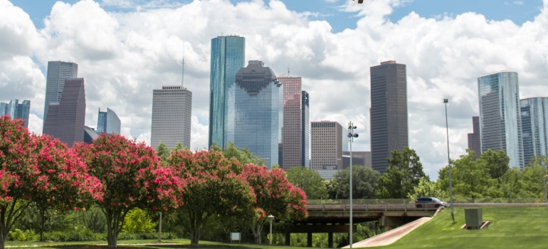 buildings near the park 