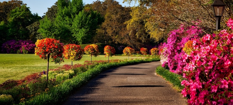 un sendero en el parque