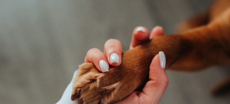 mujer con perro de la pata