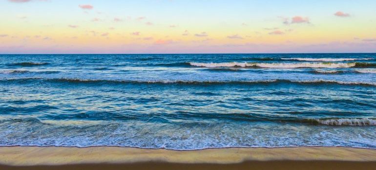 seashore with waves