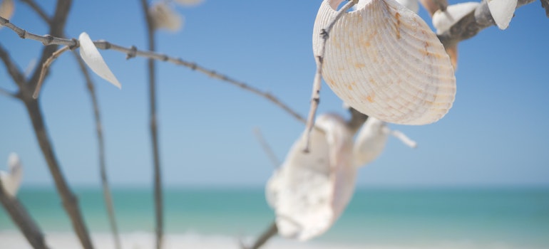 una hermosa playa de Marco Island, Florida