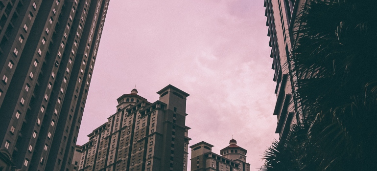 Los edificios bajo el cielo rosado