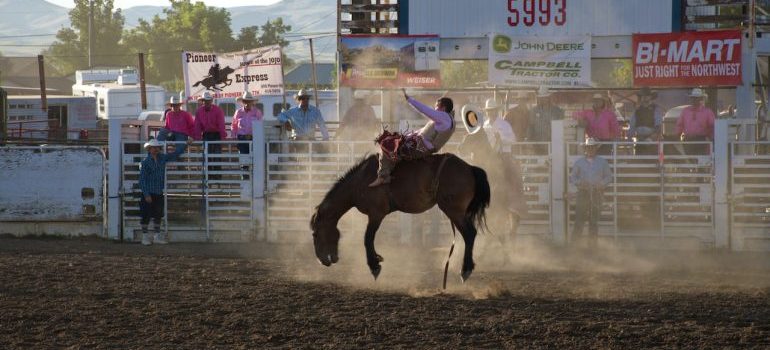 a man doing rodeo