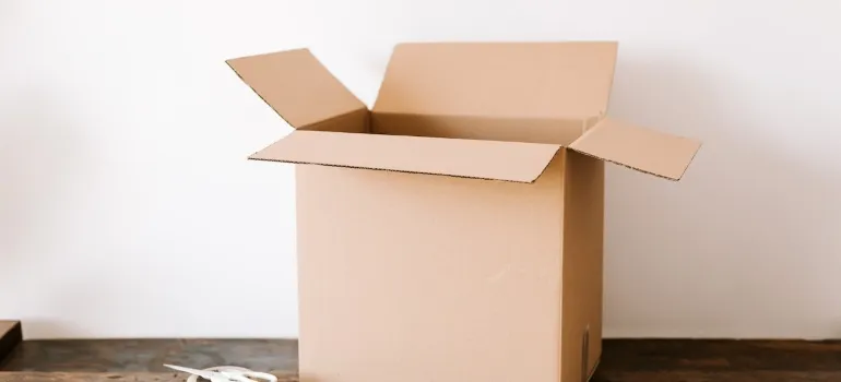 Picture of an open cardboard box