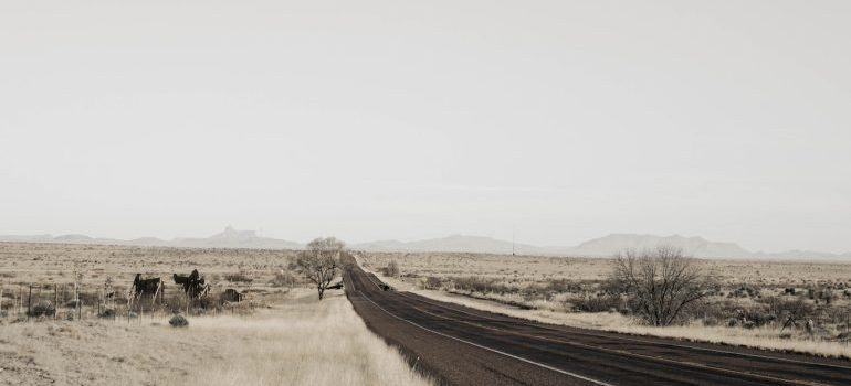 empty road