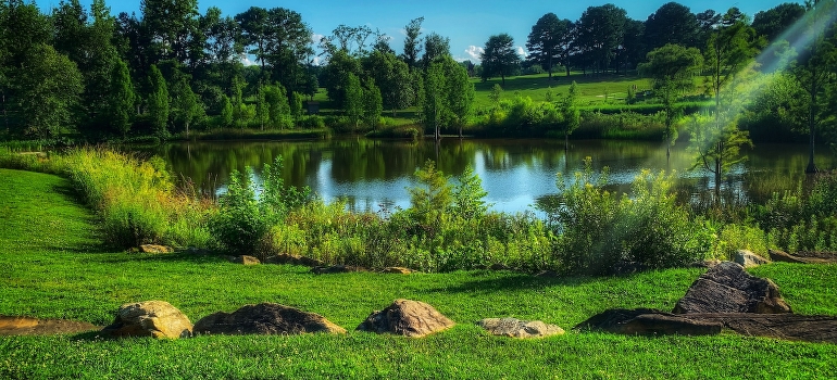 Una persona que piensa acerca de los estados de los estados unidos para veteranos, mientras que mirando a los árboles verdes junto al río en Raleigh