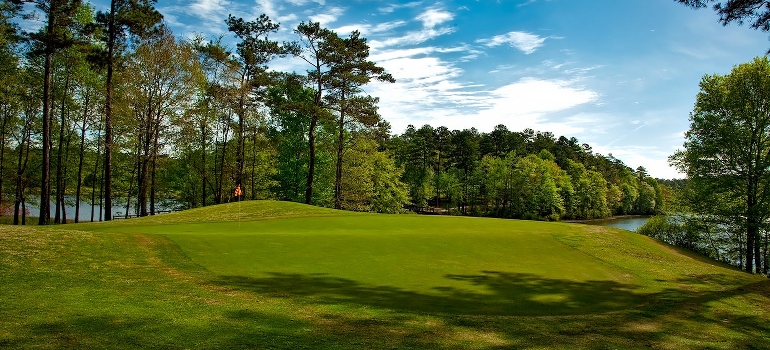 Green Grass Field