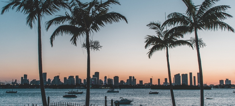 una vista de Miami es algo mirar adelante a la hora de considerar los desafíos del movimiento de Dallas a Miami