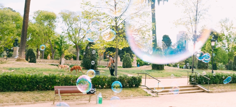 un parque se puede disfrutar después de mudarse desde Texas, Illinois