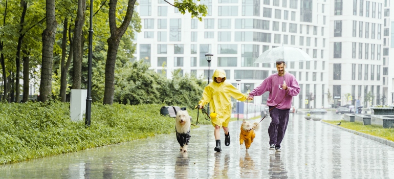 familia con mascotas corriendo en la lluvia