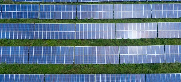 paneles solares en la hierba