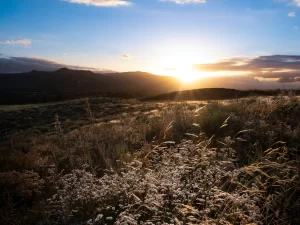 Murrieta, CA Natural Beauty