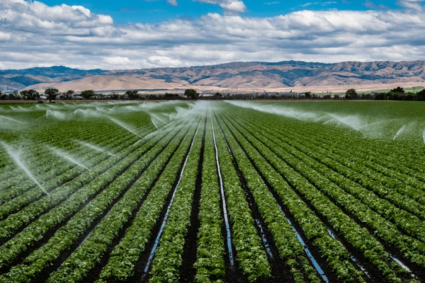 Bakersfield, CA Agricultural Hub