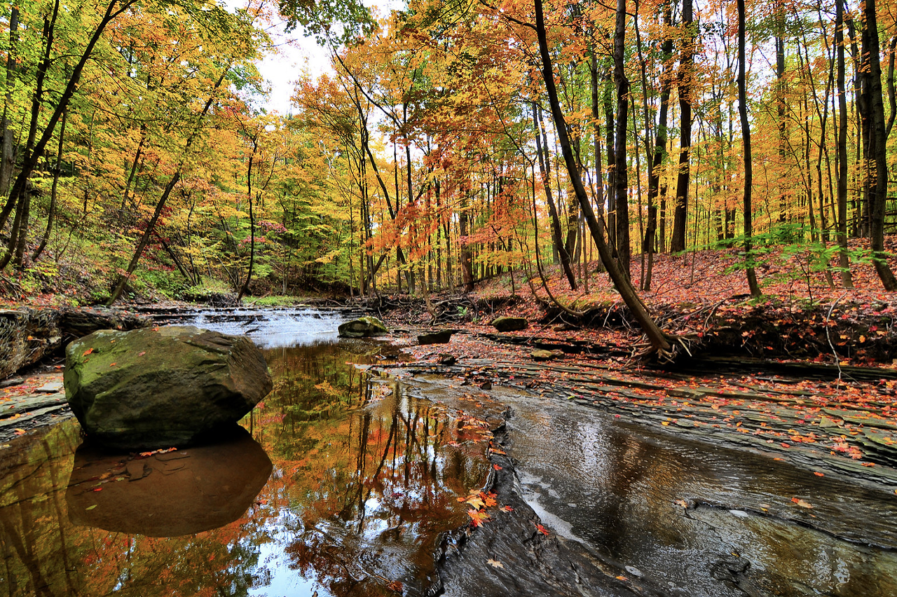 Cleveland, OH Proximity to Nature