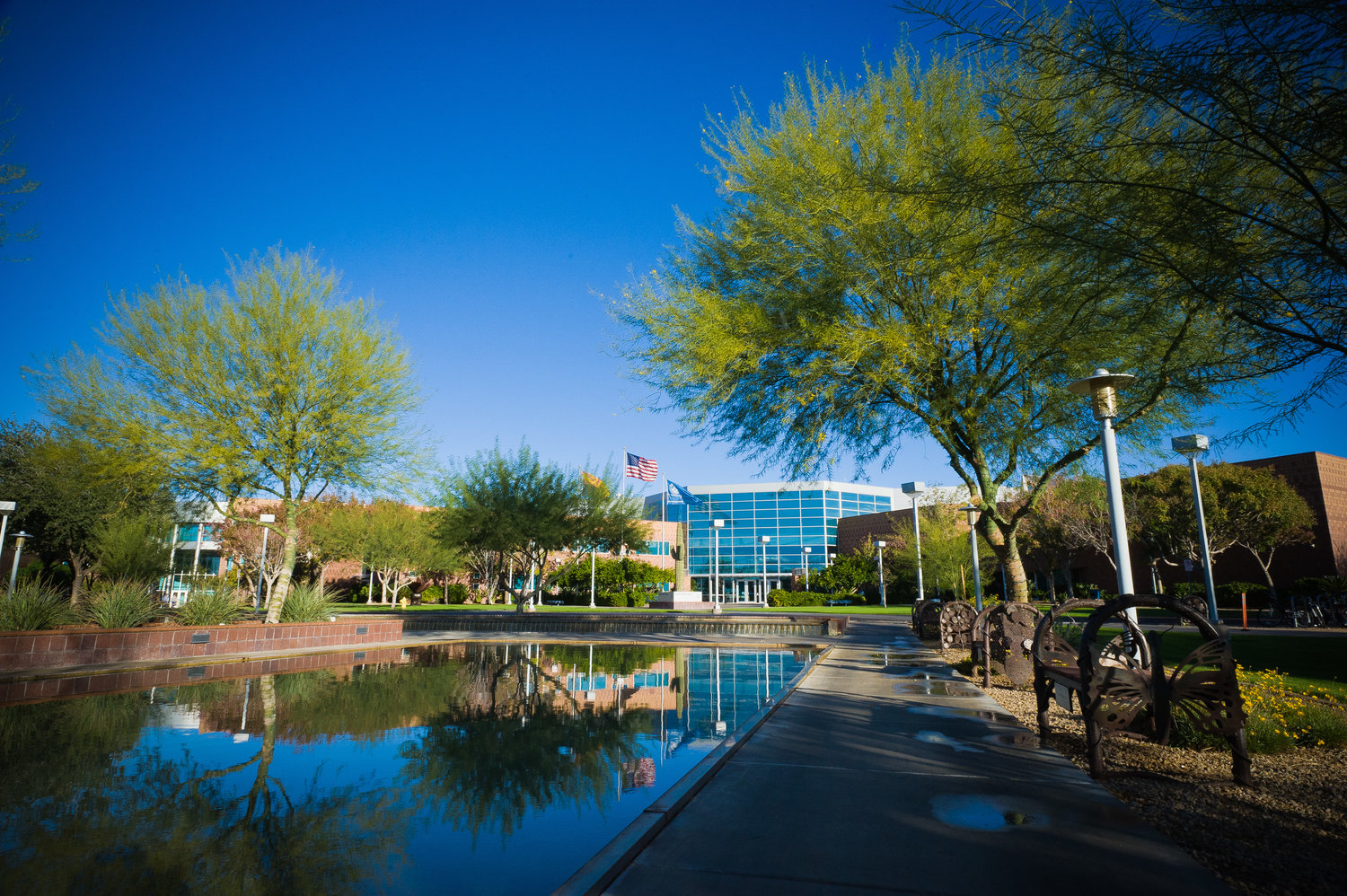 Glendale, AZ Educación