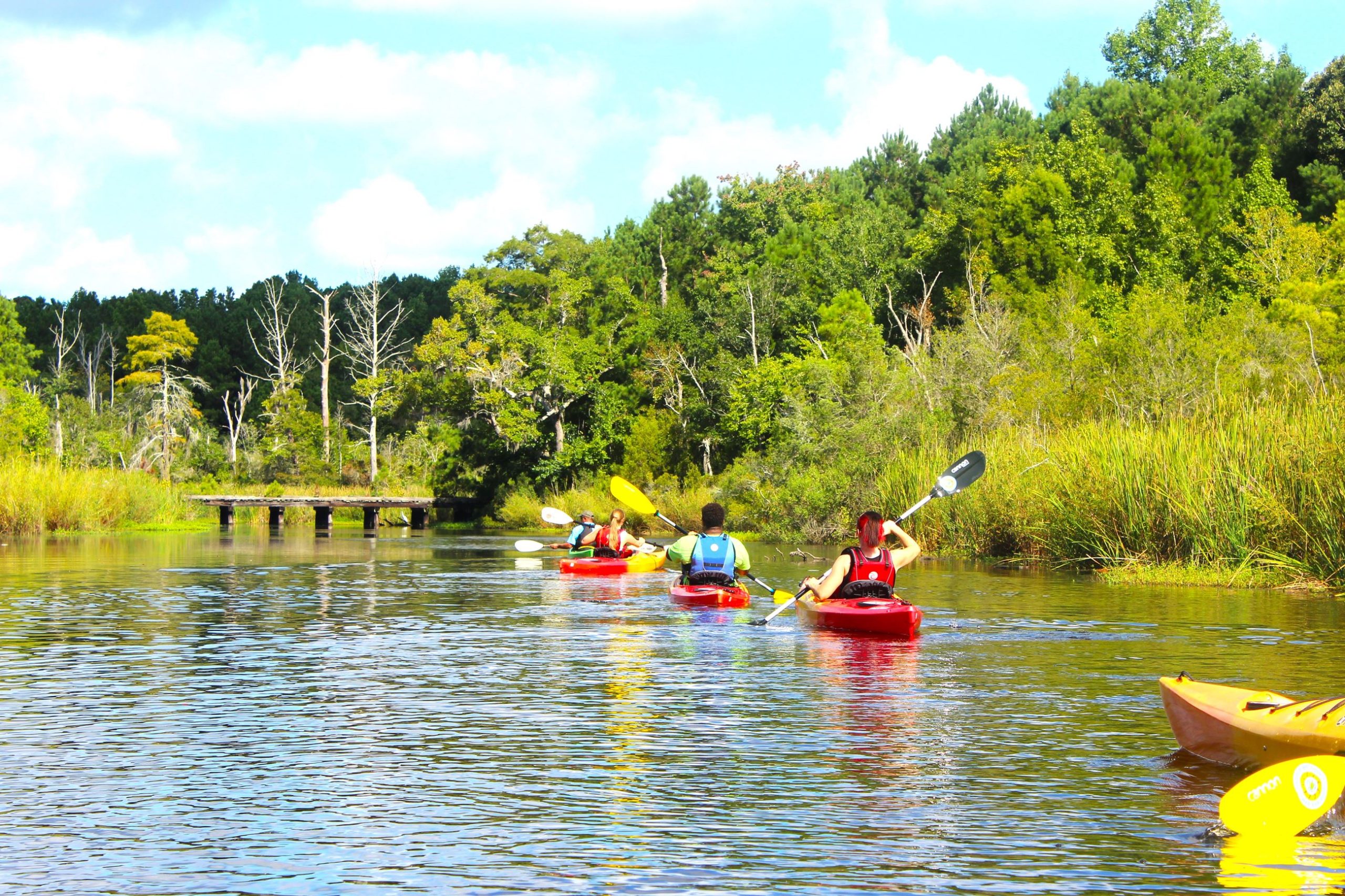 Jacksonville, FL Recreación al aire libre