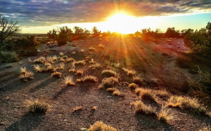 Mesa, AZ Tiempo